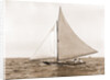 Reaper (Yacht) by Anonymous