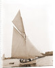Hiawatha (Yacht) by Anonymous
