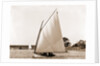 Opechee (Yacht) by Anonymous