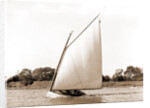 Opechee (Yacht) by Anonymous