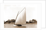 Opechee (Yacht) by Anonymous