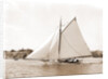 Owl (Yacht) by Anonymous