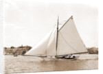 Owl (Yacht) by Anonymous