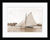 Owl (Yacht) by Anonymous