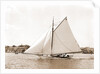Owl (Yacht) by Anonymous