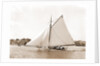 Owl (Yacht) by Anonymous