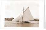 Owl (Yacht) by Anonymous