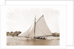 Owl (Yacht) by Anonymous