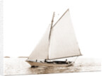 Carl (Sailboat), 1880 by Anonymous