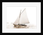 Carl (Sailboat), 1880 by Anonymous