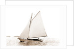 Carl (Sailboat), 1880 by Anonymous