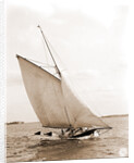 Whistler (Yacht) by Anonymous