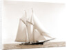 Foam (Schooner), 1880 by Anonymous