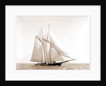 Foam (Schooner), 1880 by Anonymous