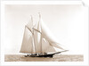 Foam (Schooner), 1880 by Anonymous