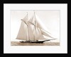 Foam (Schooner), 1880 by Anonymous