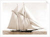 Foam (Schooner), 1880 by Anonymous