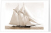 Foam (Schooner), 1880 by Anonymous