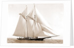 Foam (Schooner), 1880 by Anonymous