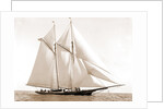 Foam (Schooner), 1880 by Anonymous