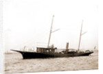 Restless (Steam yacht), 1880 by Anonymous