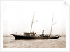 Restless (Steam yacht), 1880 by Anonymous