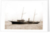 Restless (Steam yacht), 1880 by Anonymous