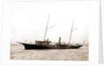 Restless (Steam yacht), 1880 by Anonymous