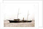 Restless (Steam yacht), 1880 by Anonymous