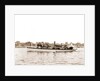 Polly (Steam yacht), 1880 by Anonymous