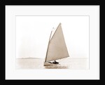 Egeria (Yacht) by Anonymous