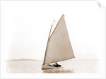 Egeria (Yacht) by Anonymous