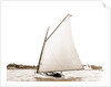 Magpie (Yacht) by Anonymous
