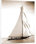 British cutter Calluna by Henry Greenwood Peabody