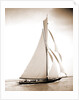 British cutter Calluna by Henry Greenwood Peabody