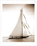 British cutter Calluna by Henry Greenwood Peabody