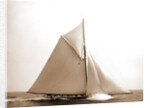 Colonia (Yacht) by Anonymous