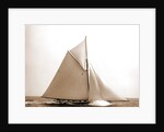 Colonia (Yacht) by Anonymous