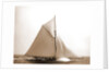 Colonia (Yacht) by Anonymous