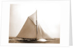 Colonia (Yacht) by Anonymous