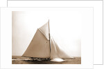 Colonia (Yacht) by Anonymous