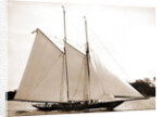 Ariel (Schooner), 1893 by Anonymous