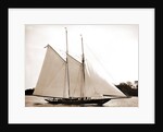 Ariel (Schooner), 1893 by Anonymous