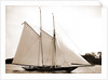 Ariel (Schooner), 1893 by Anonymous