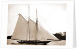 Ariel (Schooner), 1893 by Anonymous