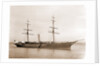 Valiant (Steam yacht), 1880 by Anonymous