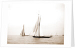 Start by Anonymous