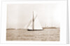 Valkyrie nearing outer mark, Valkyrie II (Yacht) by Anonymous