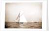 Valkyrie setting spinnaker by Henry Greenwood Peabody