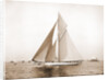 Vigilant rounding outer mark, Vigilant (Yacht) by Anonymous